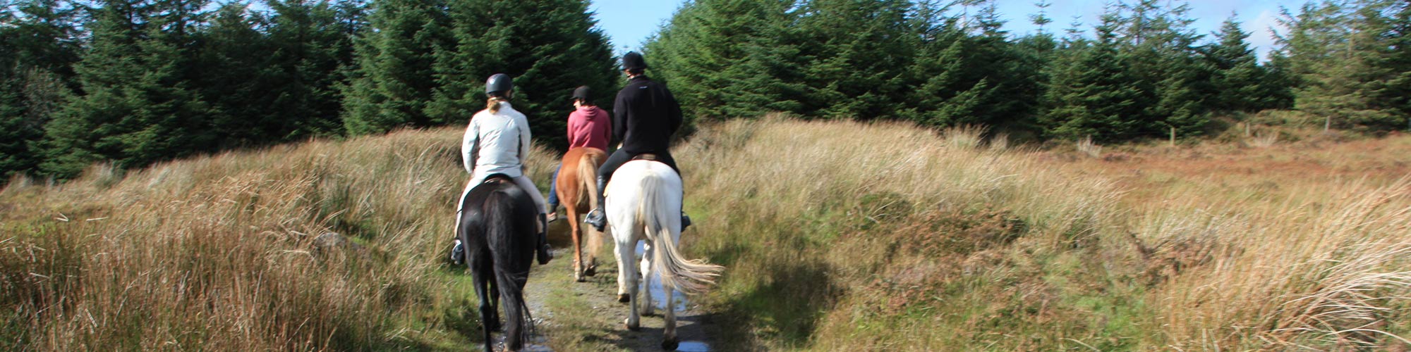horse riding nature trail ireland