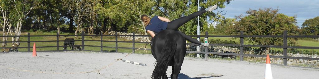 horse riding lessons ireland